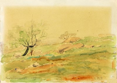 Neutakonkanut da Edward Mitchell Bannister