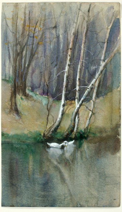 Senza titolo (Scena di bosco con betulle e anatre) da Edward Mitchell Bannister