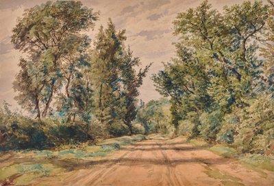 Paesaggio con strada da Edward Pretty