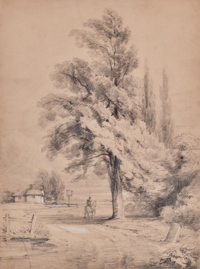 Paesaggio con albero e cavaliere da Edward Pretty