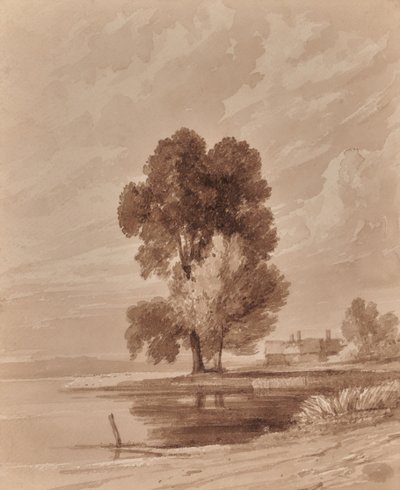 Paesaggio con alberi da Edward Pretty