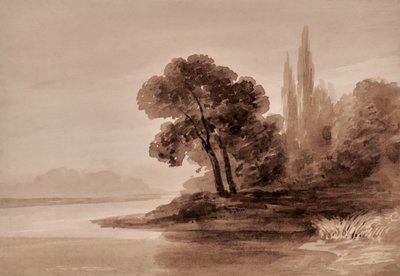 Paesaggio con alberi da Edward Pretty