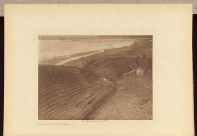 Una balena parzialmente tagliata da Edward S. Curtis