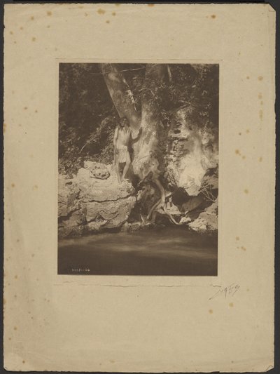 Fiume Apache-Nero (presso il sicomoro) da Edward S. Curtis
