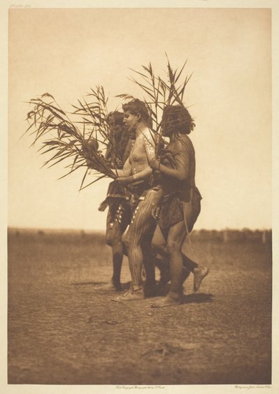 Cerimonia di medicina Arikara - le anatre da Edward S. Curtis