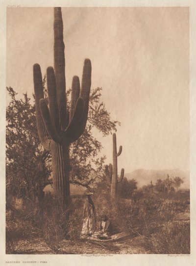 Portafoglio II, tavole 40-75 da Edward S. Curtis