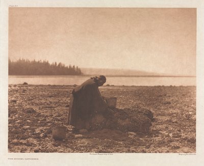 Portfolio IX, Tavola 313: Il Raccoglitore di Cozze da Edward S. Curtis