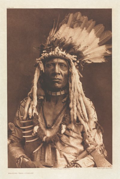 Portfolio VI, Tavola 203: Coda di Donnola - Piegan da Edward S. Curtis