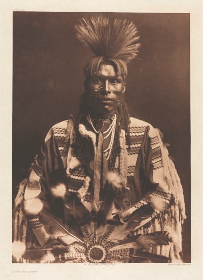 Portfolio VI, Tavola 208: Un dandy Piegan da Edward S. Curtis