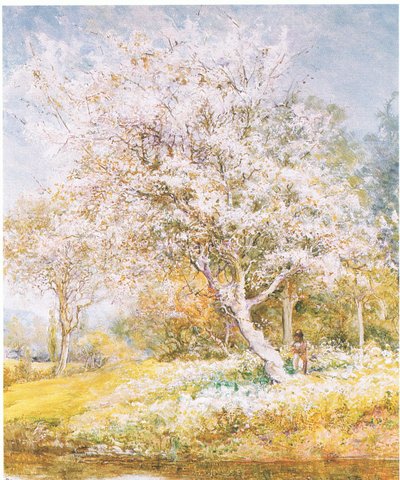 Raccolta di fiori da Edward Samuel Harper