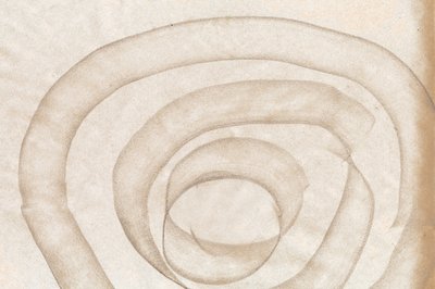 Curve morbide e organiche da Edward Selkirk