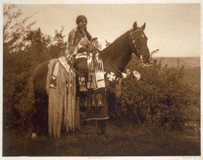 Addobbi Festivi - Cayuse da Edward Sheriff (after) Curtis