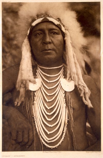 Upshaw della tribù Apsaroke da Edward Sheriff (after) Curtis