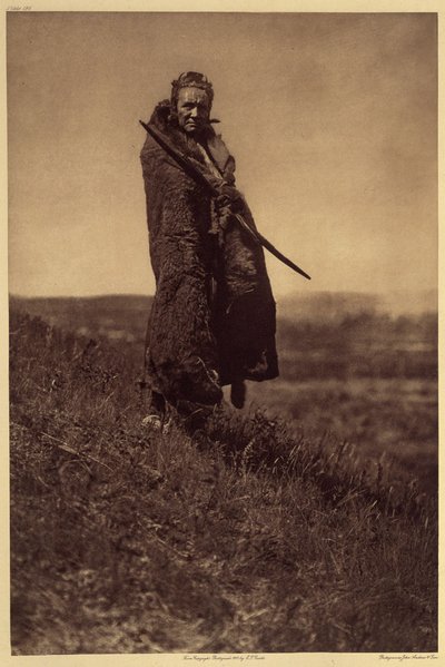 Un Coraggioso Orso Grizzly, Piegan da Edward Sheriff Curtis