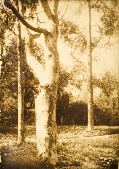 Alla fattoria, Seattle, Washington da Edward Sheriff Curtis