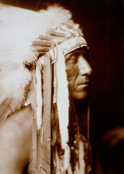 Pretty Paint da Edward Sheriff Curtis