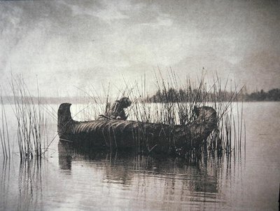 Il raccoglitore di canne, Montana da Edward Sheriff Curtis