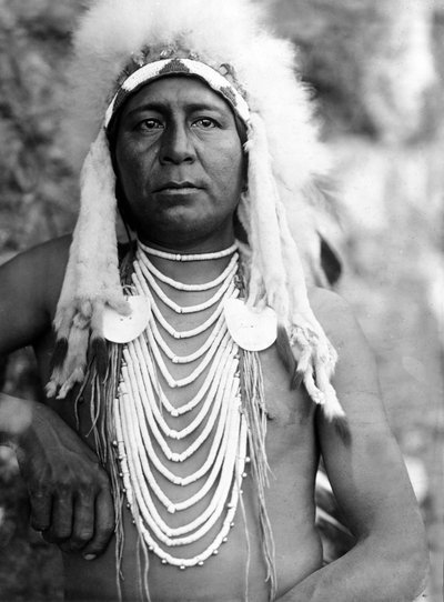 Upshaw, Apsaroke (Crow), c. 1905, foto di Edward S. Curtis da Edward Sheriff Curtis