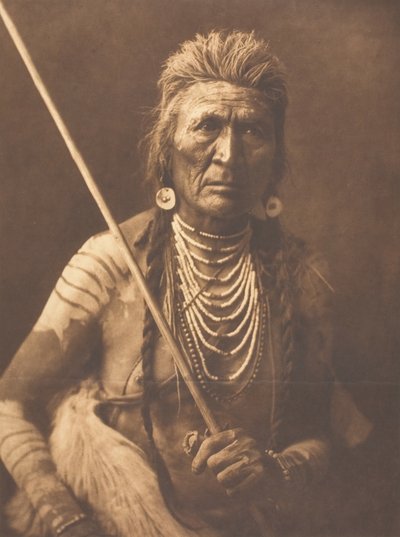 Lupo - Apsaroke da Edward Sheriff Curtis