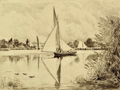 Il Bure: Su Wroxham Road, c.1880 da Edward Slocombe