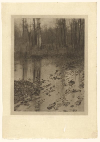 La piscina da Edward Steichen