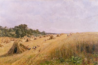 Raccolto nel campo di grano da Edward Wilkins Waite