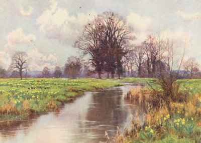 È libero dal peso, questo allegro piccolo fiume, e né sbarramento né mulino ostacolano il suo rapido cammino verso il mare da Edward Wilkins Waite