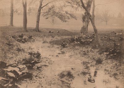 Paesaggio di primavera, anni 1890 (foto) da Edward Willis Redfield
