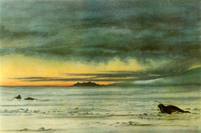 Guardando a nord nel McMurdo Sound da Edward Wilson