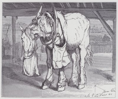 Un Cavallo da Tiro da Edwin (after) Landseer