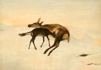 Un Colpo a Caso da Edwin (after) Landseer