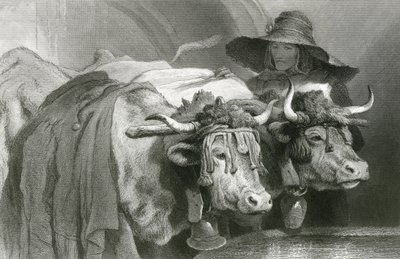 Buoi al serbatoio, Ginevra (incisione) da Edwin (after) Landseer