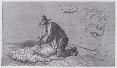 Tosatura delle pecore da Edwin (after) Landseer
