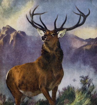 Il monarca della valle da Edwin (after) Landseer