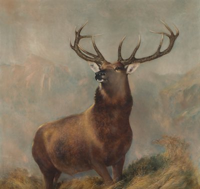 Il monarca della valle, c.1822-73 da Edwin (after) Landseer
