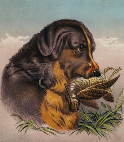 Il Retriever da Edwin (after) Landseer