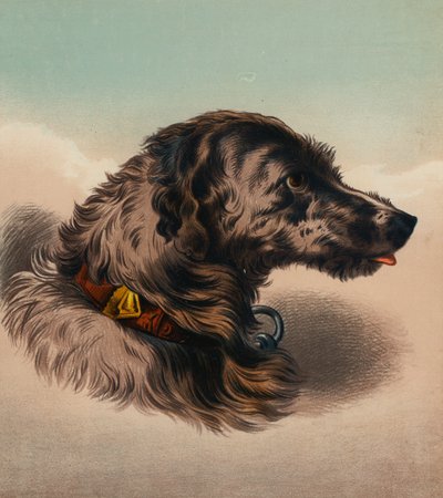 Il Segugio (?) da Edwin (after) Landseer
