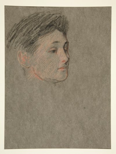 Testa di donna, capelli neri, per l