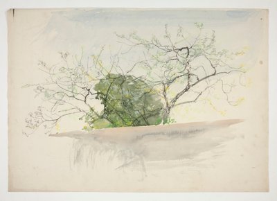 Paesaggio con alberi da Edwin Austin Abbey