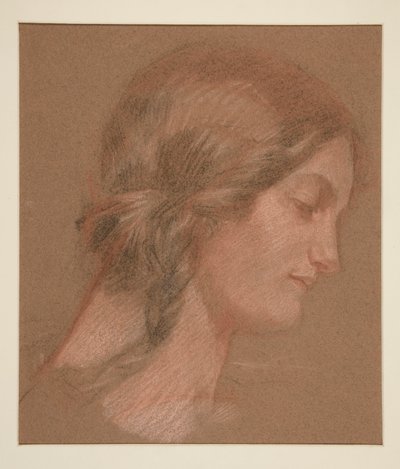Ritratto di una donna di profilo da Edwin Austin Abbey
