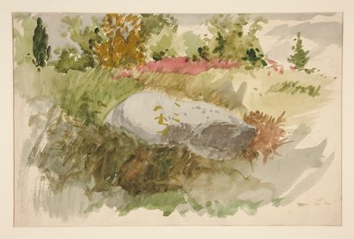 Rocce e arbusti da Edwin Austin Abbey