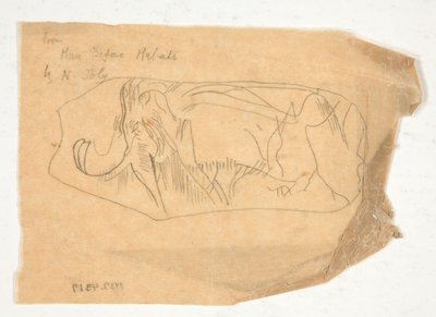 Schizzo di un animale simile a un rinoceronte, da L