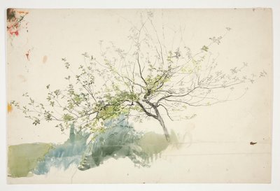 Schizzo di un albero da Edwin Austin Abbey