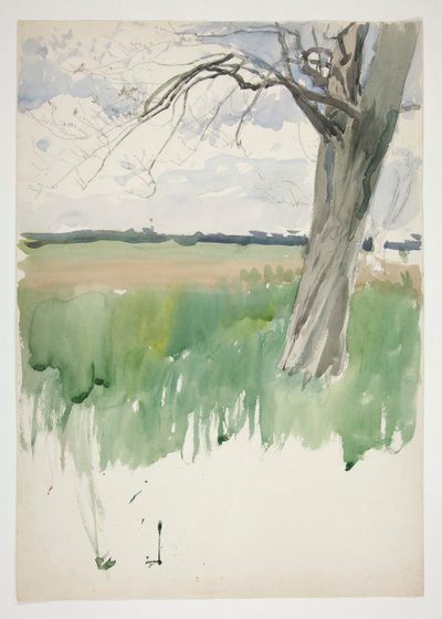 Studio di un campo e un albero da Edwin Austin Abbey