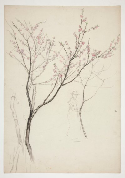 Studio di una figura sotto un albero in fiore da Edwin Austin Abbey