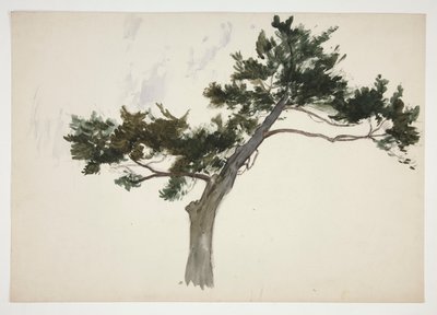 Studio di un albero da Edwin Austin Abbey