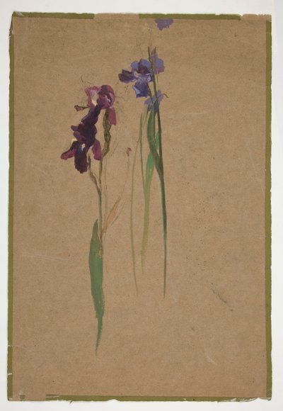 Studio di Iris da Edwin Austin Abbey