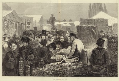 La fiera della cipolla di Birmingham (incisione) da Edwin Buckman