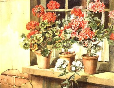 Gerani da Edwin Byatt