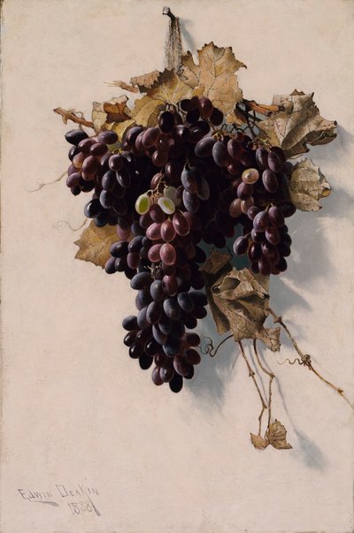 Natura morta con uva da Edwin Deakin